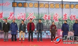 浠水二小爆料新闻报道最新